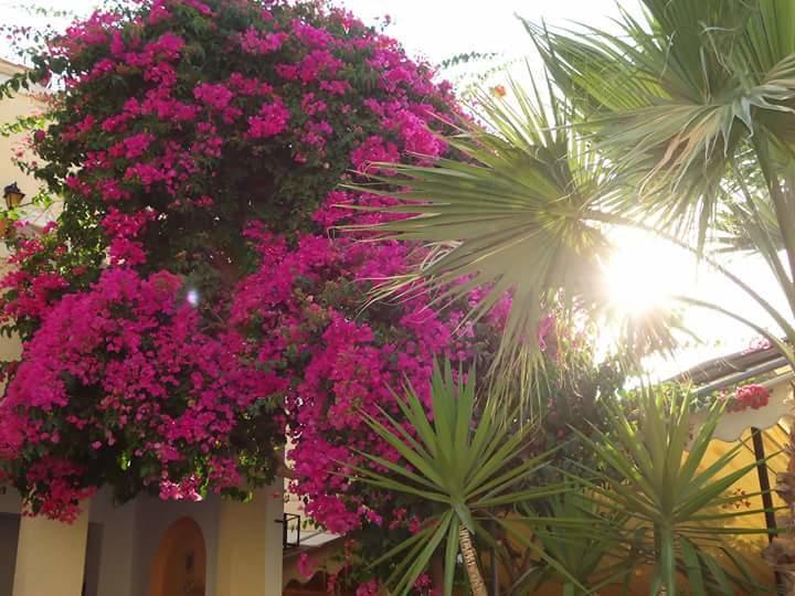 فندق Sweetmemory Agia Marina  المظهر الخارجي الصورة